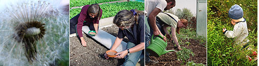 Gesellschaft für Gartenbau und Therapie - Therapeutische Arbeitsweisen