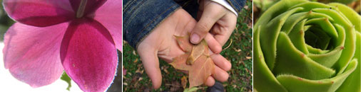 Gesellschaft für Gartenbau und Therapie - Kontakt