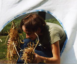 Gesellschaft für Gartenbau und Therapie - Pflanzenverwendung