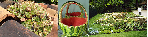 Gesellschaft für Gartenbau und Therapie - Pflanzenverwendung